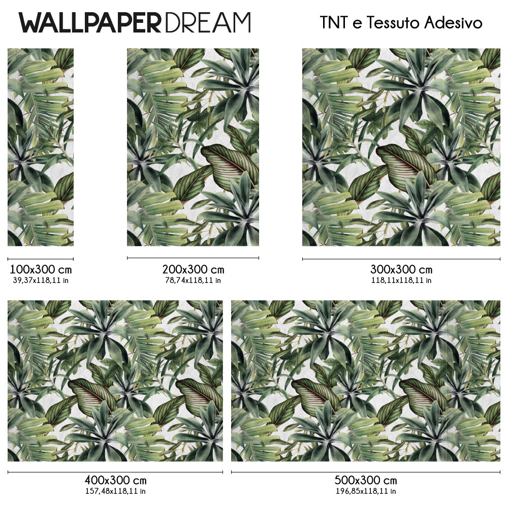 Carta da parati Costa Rica Dimensioni TNT Carta da parati Costa Rica Dimensioni TNT