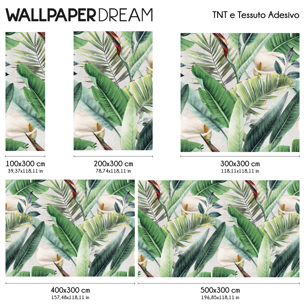 Carta da parati Giardino di calle dimensioni TNT Carta da parati Giardino di calle dimensioni TNT