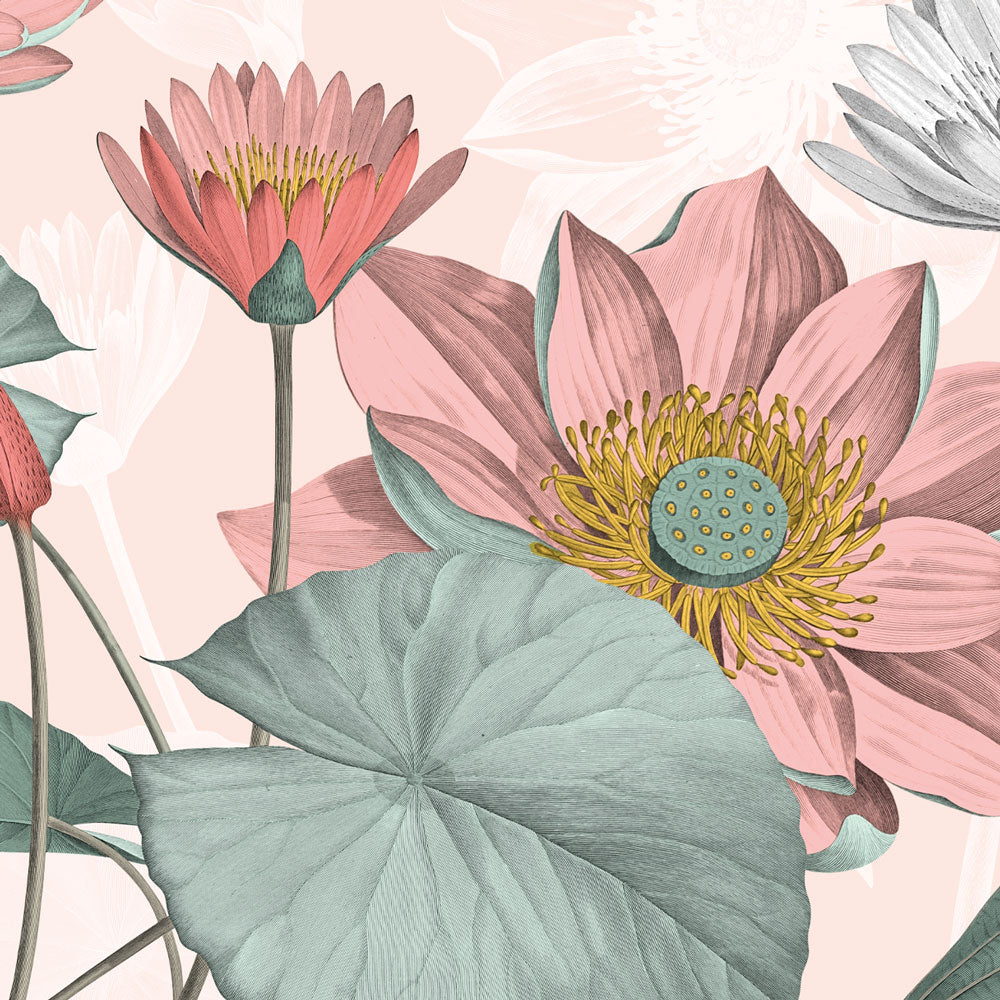 Carta da parati Fiori di loto nelumbo dettaglio Carta da parati Fiori di loto nelumbo dettaglio