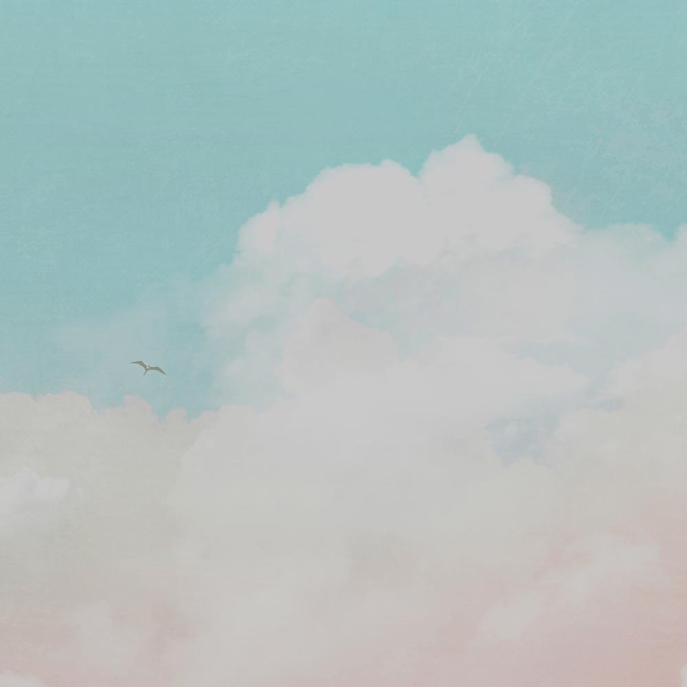 Carta da parati Libertà soffice dettaglio Carta da parati Libertà soffice dettaglio