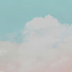 Carta da parati Libertà soffice dettaglio Carta da parati Libertà soffice dettaglio