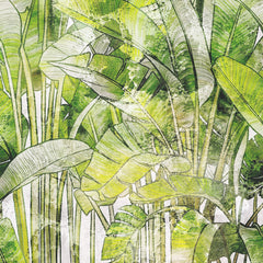 Carta da parati Foresta di palme dettaglio Carta da parati Foresta di palme dettaglio