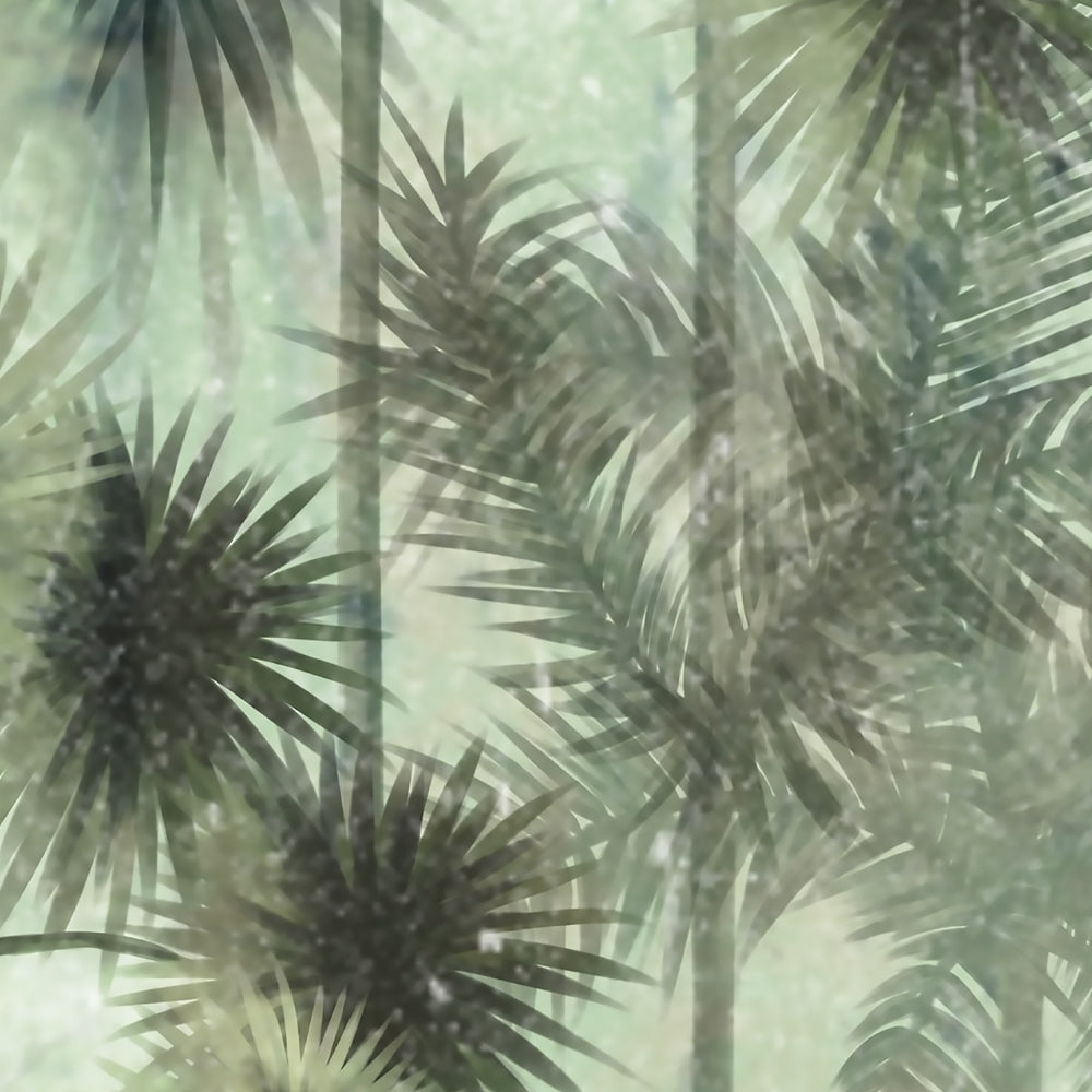 Carta da parati Palme di Carbonera dettaglio Carta da parati Palme di Carbonera dettaglio