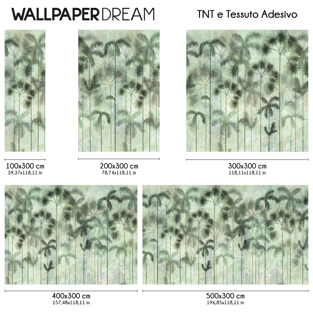 Carta da parati Palme di Carbonera dimensioni TNT Carta da parati Palme di Carbonera dimensioni TNT