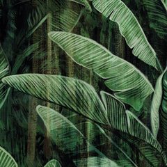 Carta da parati Musa paradisiaca dettaglio Carta da parati Musa paradisiaca dettaglio