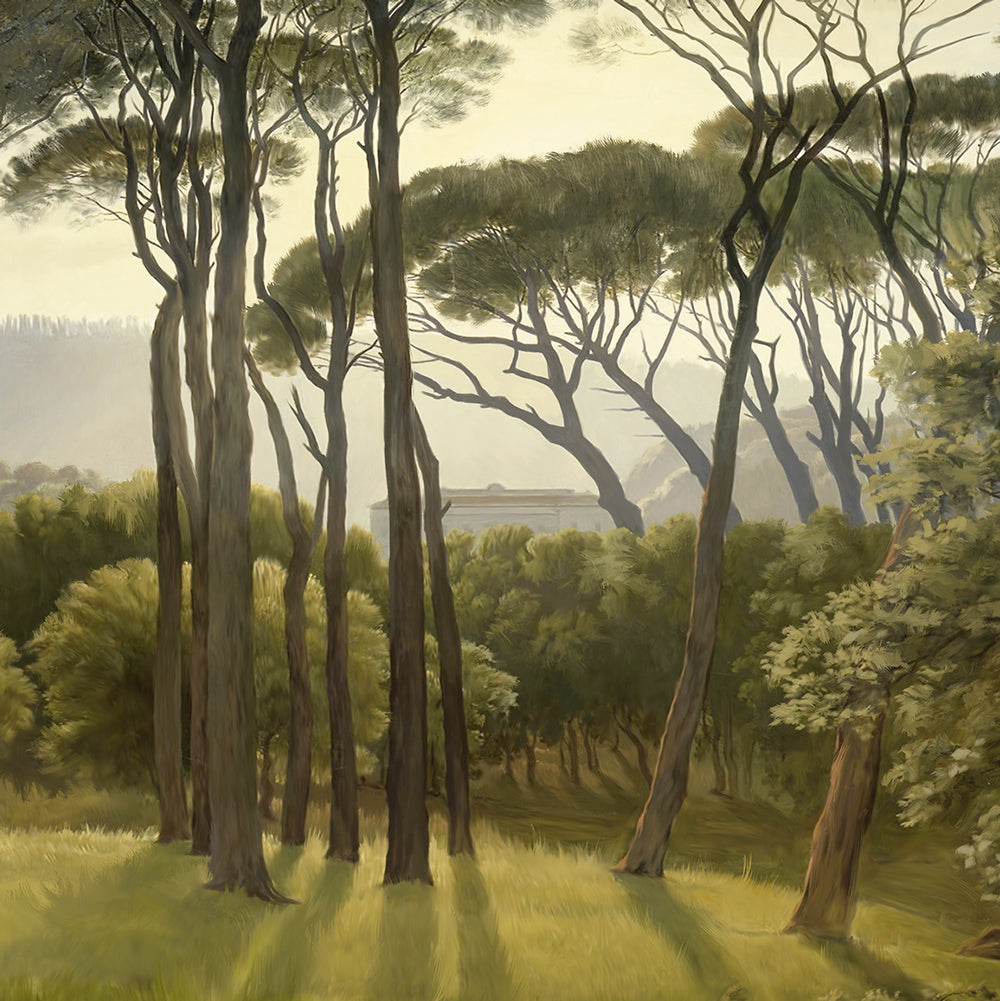 Carta da parati Pini marittimi dettaglio Carta da parati Pini marittimi dettaglio