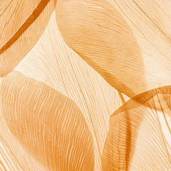 Carta da parati Translucent dettaglio Carta da parati Translucent dettaglio