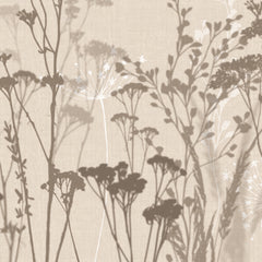 Dry Herbs Wall Mural Dry Herbs Wall Mural