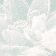 Papier Peint Nénuphars éthérés Papier Peint Nénuphars éthérés