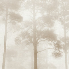 Dawn in the forest Wallpaper Dawn in the forest Wallpaper