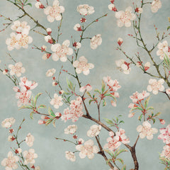 Cherry Blossom Flowers Wallpaper Cherry Blossom Flowers Wallpaper