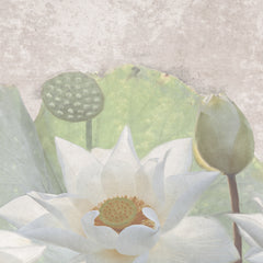 Fiberglass Wallpaper Lotus Flowers Fiberglass Wallpaper Lotus Flowers