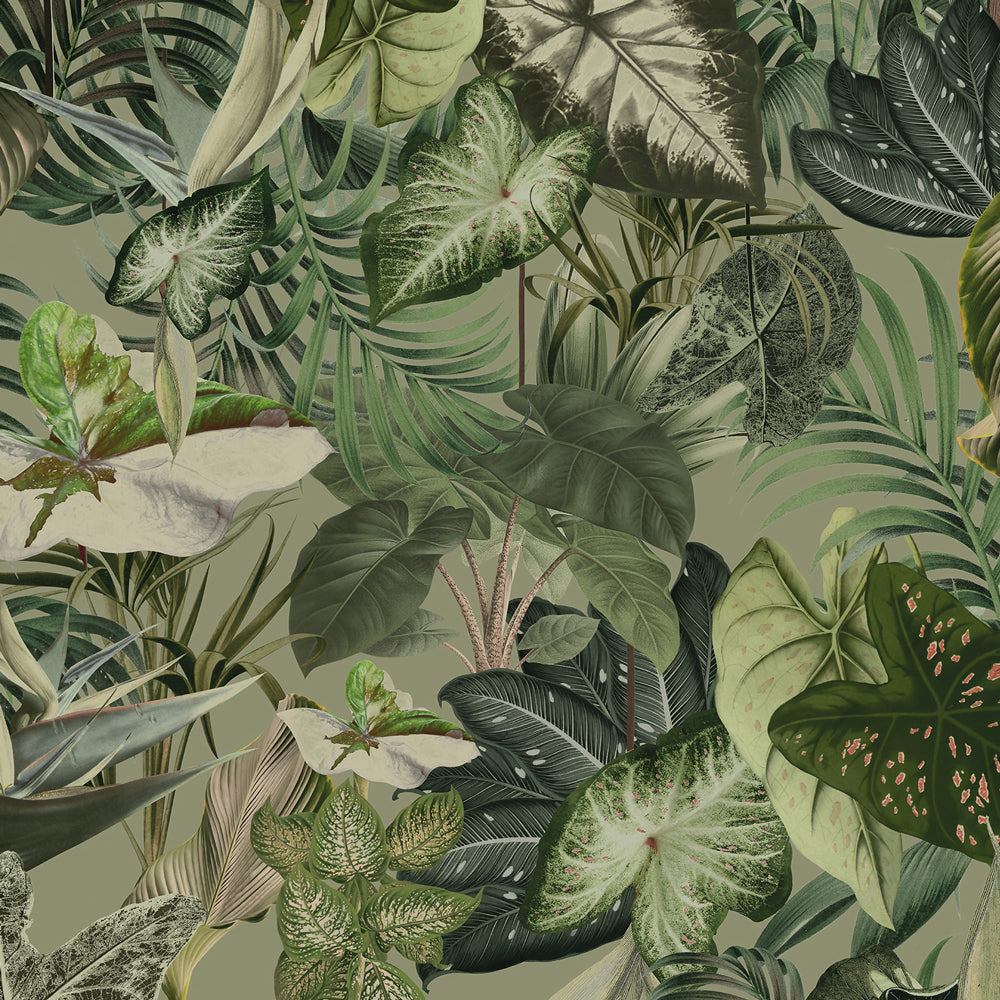 Carta da parati Flora Selvaggia dettaglio Carta da parati Flora Selvaggia dettaglio