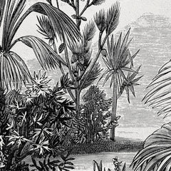 Black and white jungle Fototapete Black and white jungle Fototapete