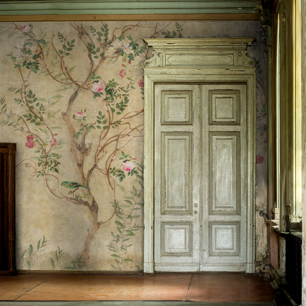 Carta da parati Rami intrecciati - soggiorno Carta da parati Rami intrecciati - soggiorno