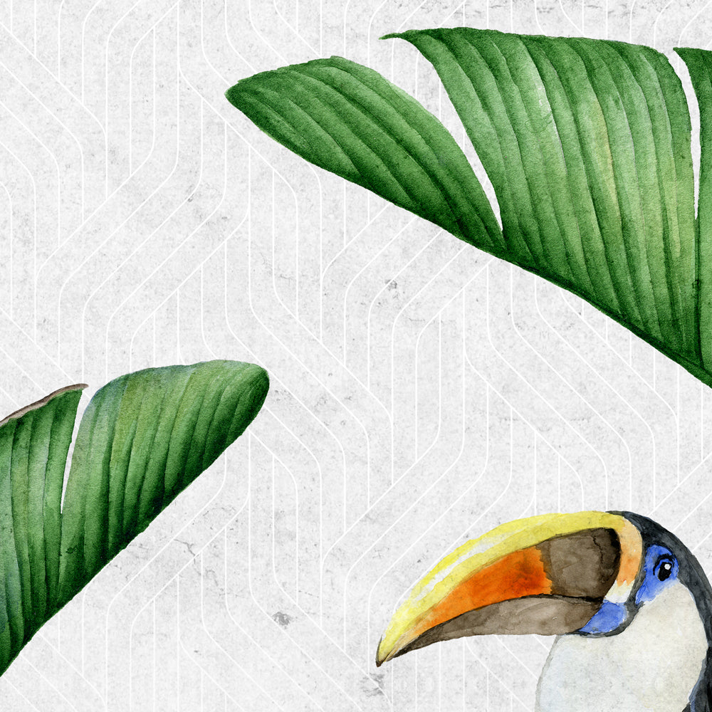 Carta da parati Tucano dettaglio Carta da parati Tucano dettaglio