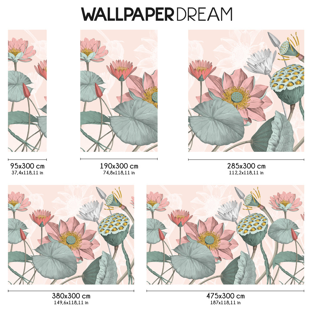 Carta da parati Fiori di loto nelumbo dimensioni Carta da parati Fiori di loto nelumbo dimensioni