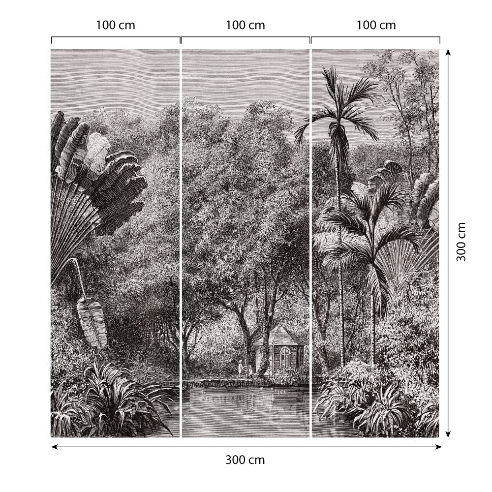 Carta da parati Giungla Africana dimensioni TNT 3 Carta da parati Giungla Africana dimensioni TNT 3