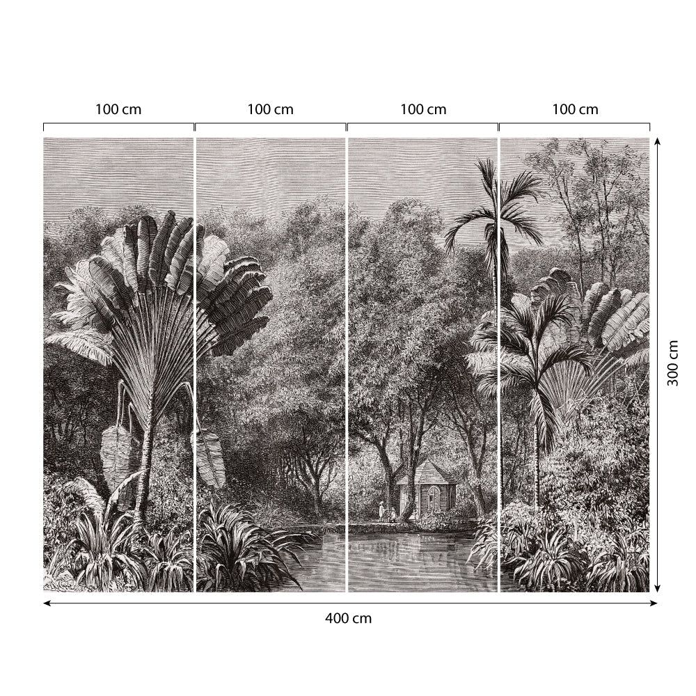 Carta da parati Giungla Africana dimensioni TNT 4 Carta da parati Giungla Africana dimensioni TNT 4