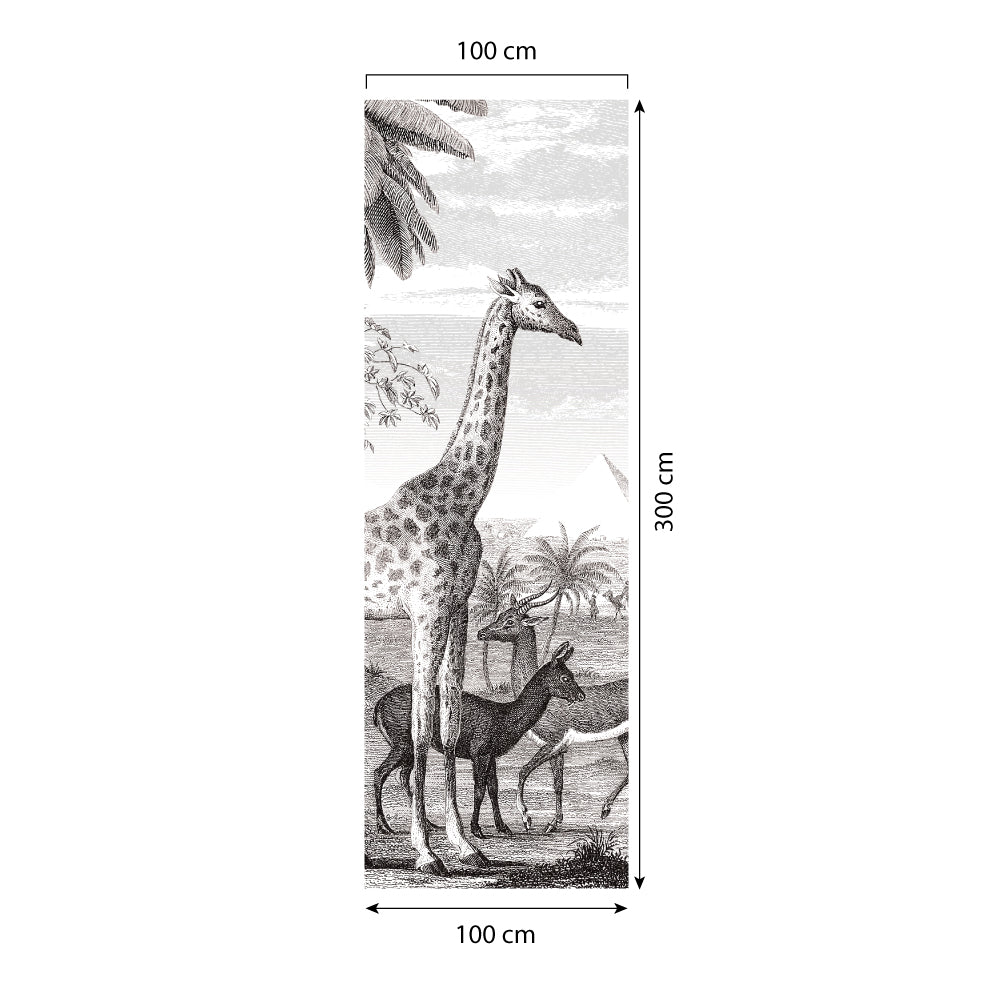 Carta da parati Egitto dimensioni 1 Carta da parati Egitto dimensioni 1