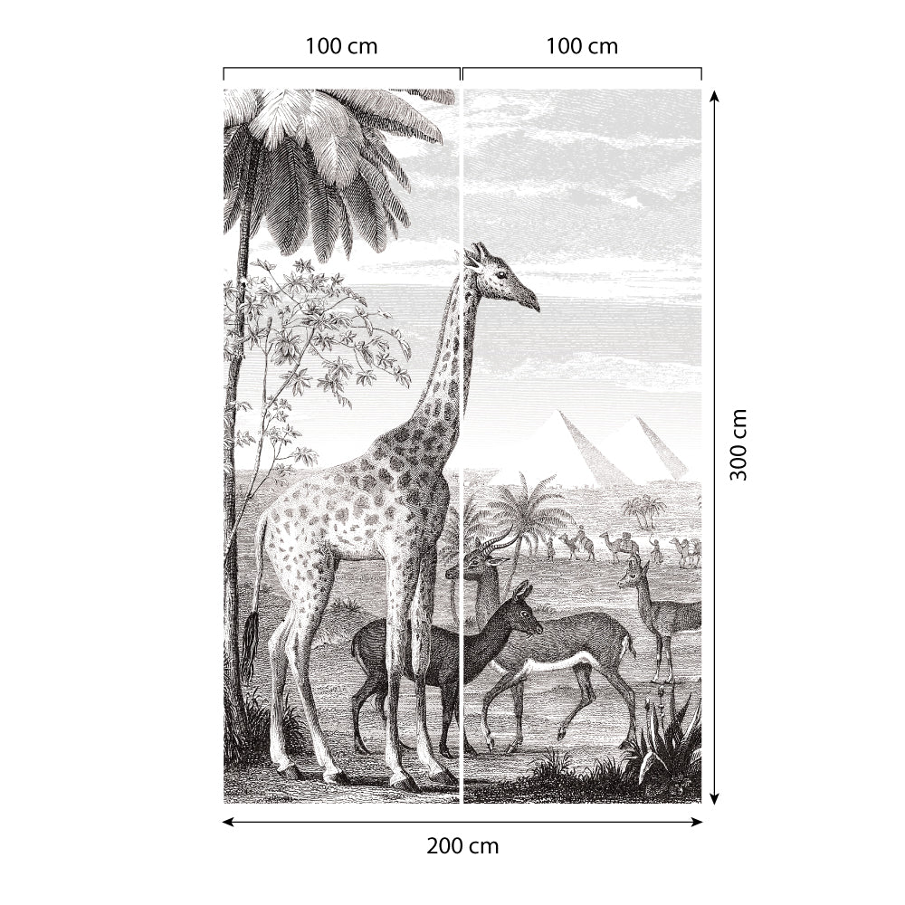 Carta da parati Egitto dimensioni 2 Carta da parati Egitto dimensioni 2