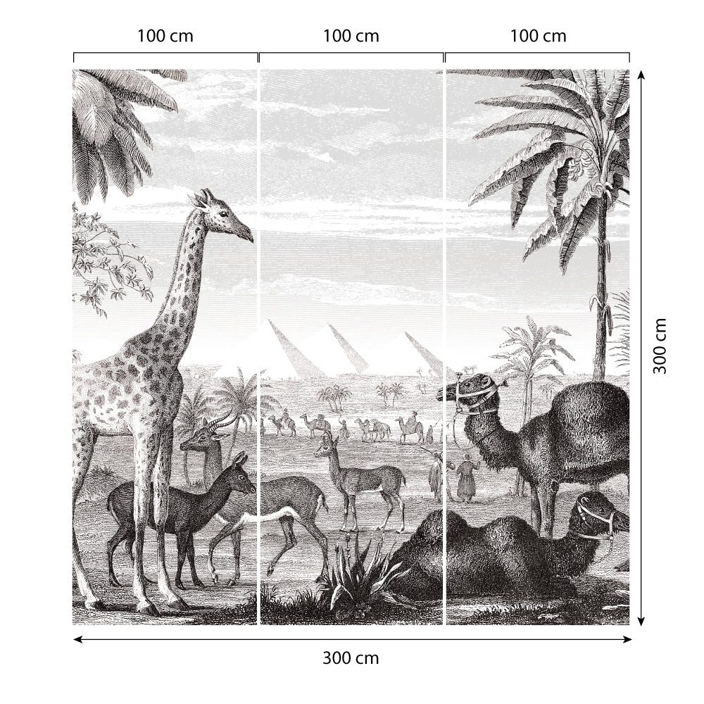 Carta da parati Egitto dimensioni 3 Carta da parati Egitto dimensioni 3