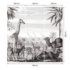 Carta da parati Egitto dimensioni 3 Carta da parati Egitto dimensioni 3