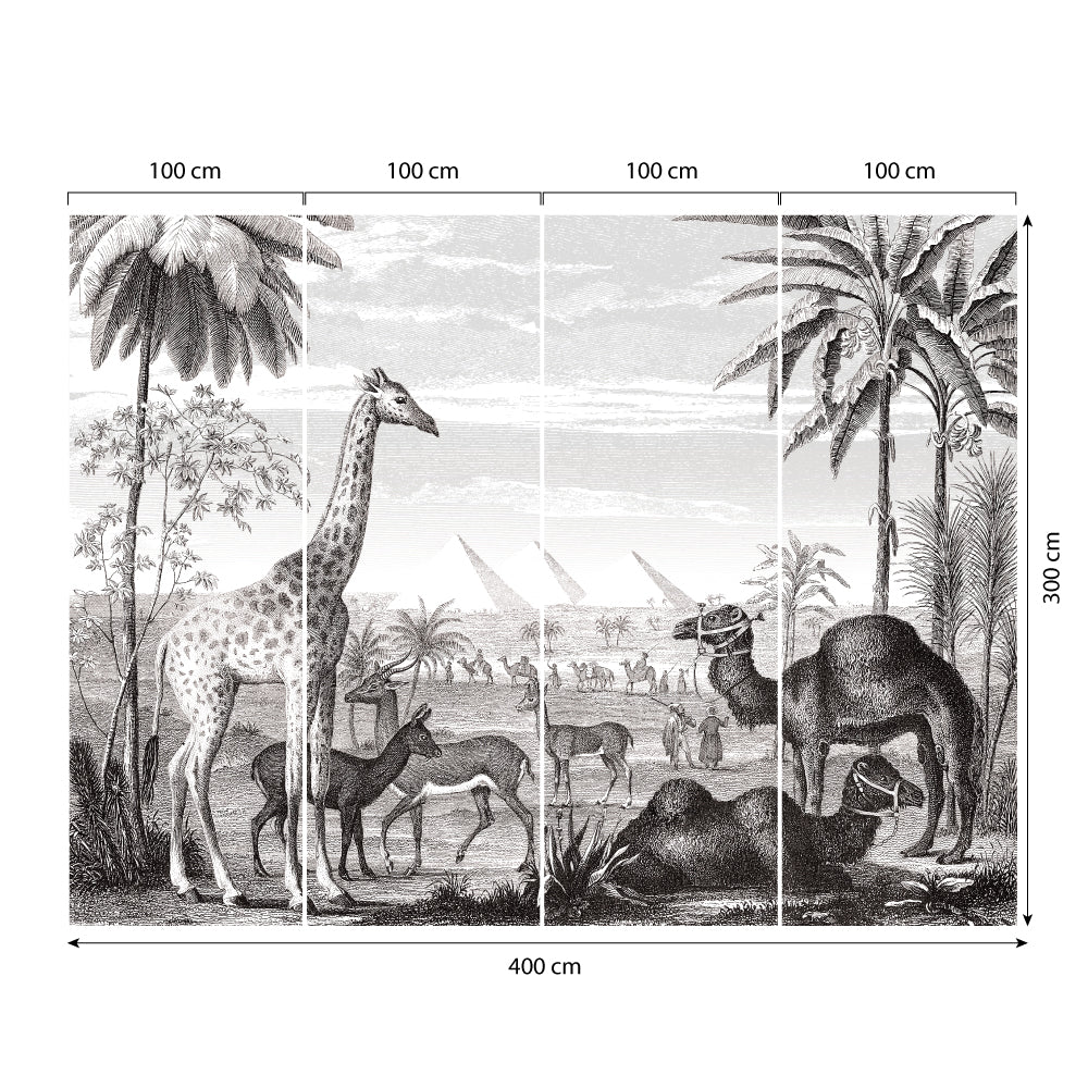 Carta da parati Egitto dimensioni 4 Carta da parati Egitto dimensioni 4