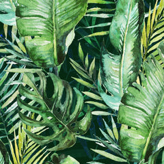 Tropical palm Wall Mural