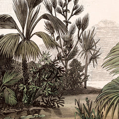 Black and white jungle Fototapete