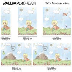 Little Prince Dreams Wall Mural