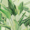Wall Mural Palms drawing