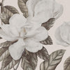 Magnolia grandiflora Wall Mural