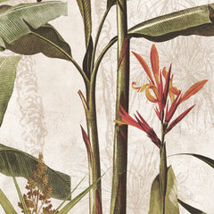 Fototapete Äquatoriale Natur