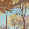 Changing Forest wallpaper