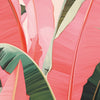 Wall Mural Colorful banana leaves