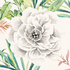 Weiße Blütenkronen- Fototapete