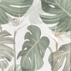Papier Peint majestueux Monstera