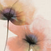 Papel Pintado Amapolas etéreas