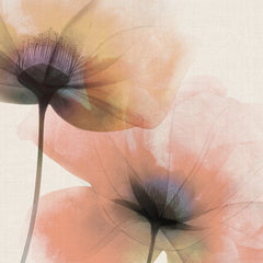 Ethereal Poppies Wall Mural