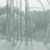 Artistic Pine Grove Wallpaper