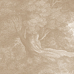 Antique engraving Wall Mural 