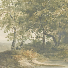 Carta da parati La magia del bosco