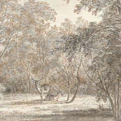 Into the Forest Wallpaper