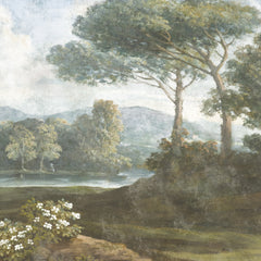 Carta da parati Foresta dei pini