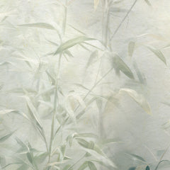 Papier Peint Germes de bambou