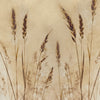 Golden Wheat Wallpaper