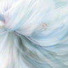 Floral Spiral Wallpaper