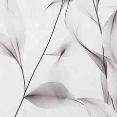 Carta da parati Tenue fruscio