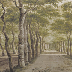 Fototapete Baumreicher Innenhof